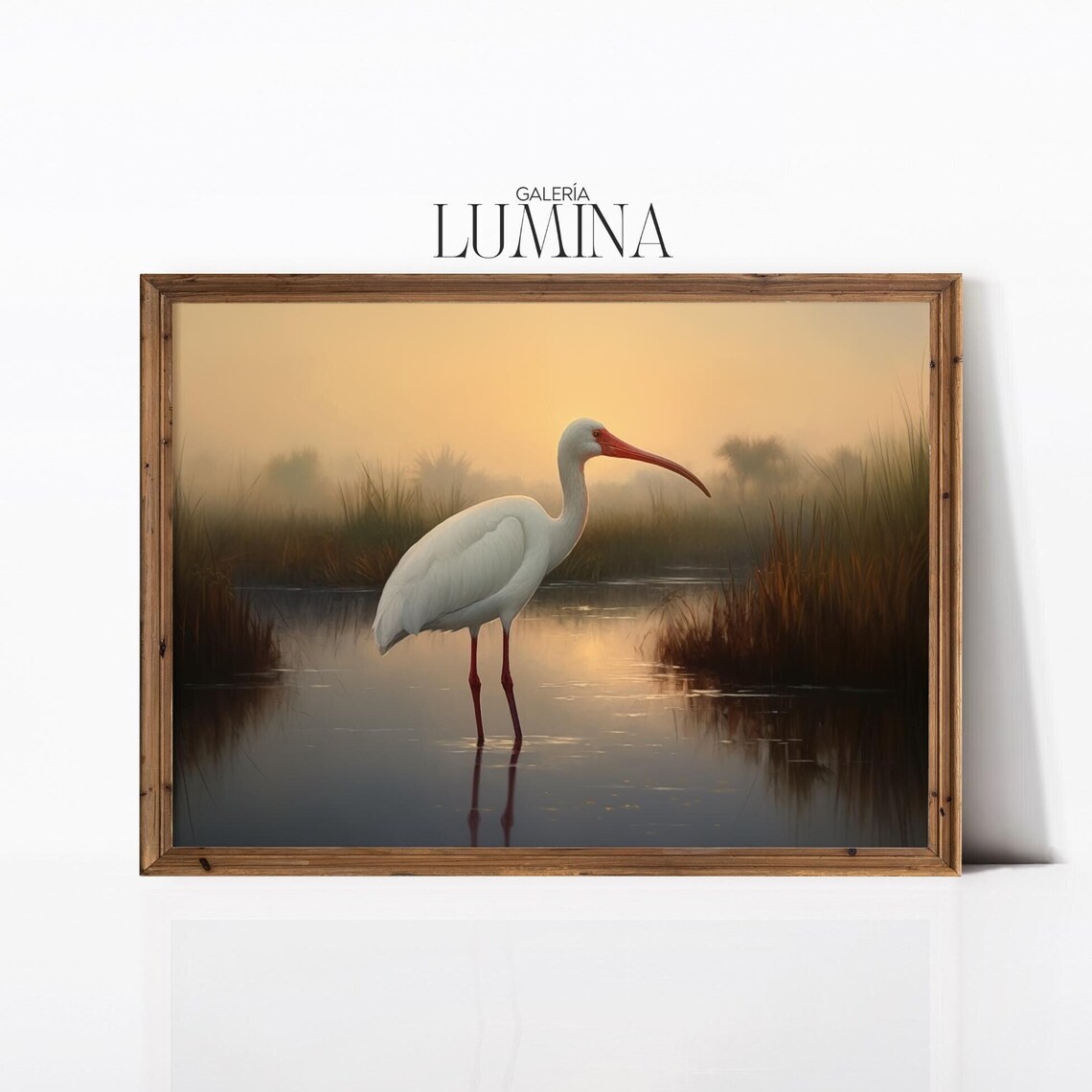 White Ibis Oil Painting Nature Wildlife Art Print