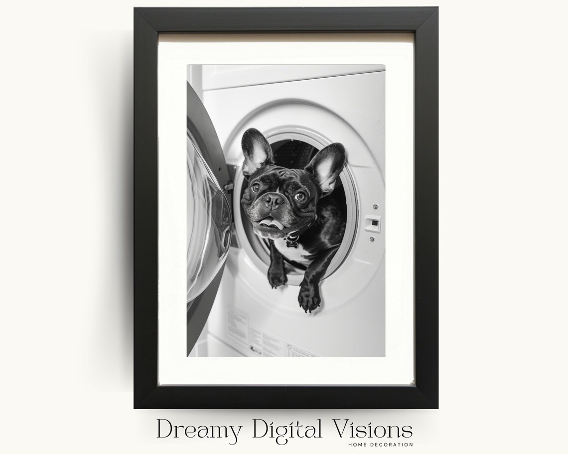 French Bulldog in Washing Machine, Funny Laundry Art Print