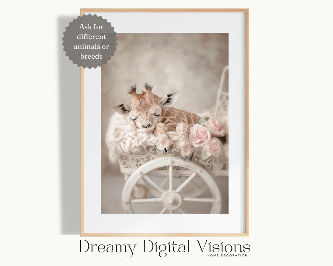 Baby Giraffe Sleeping on White Stroller With Pink Roses Poster