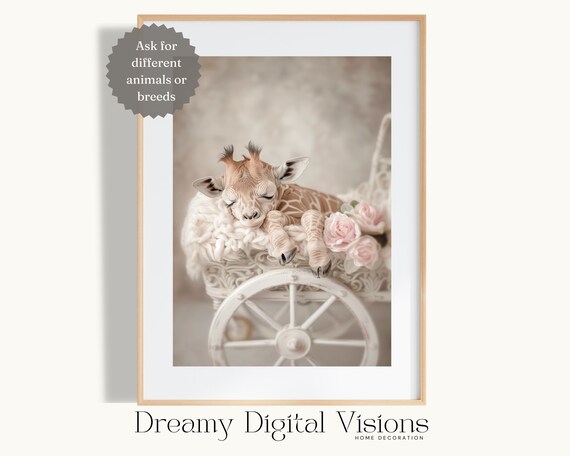 Baby Giraffe Sleeping on White Stroller With Pink Roses Poster
