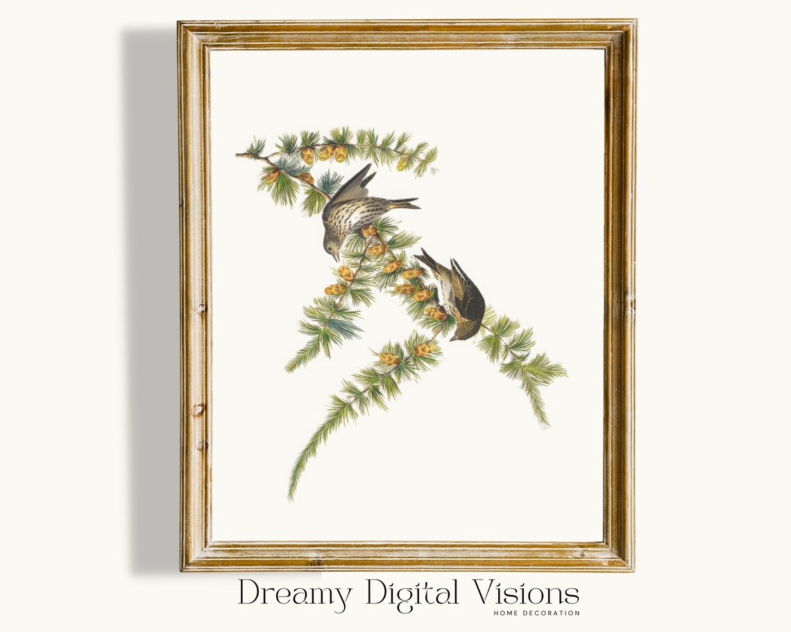 Vintage Finch Birds Larch Branch Antique Botanical Illustration Poster