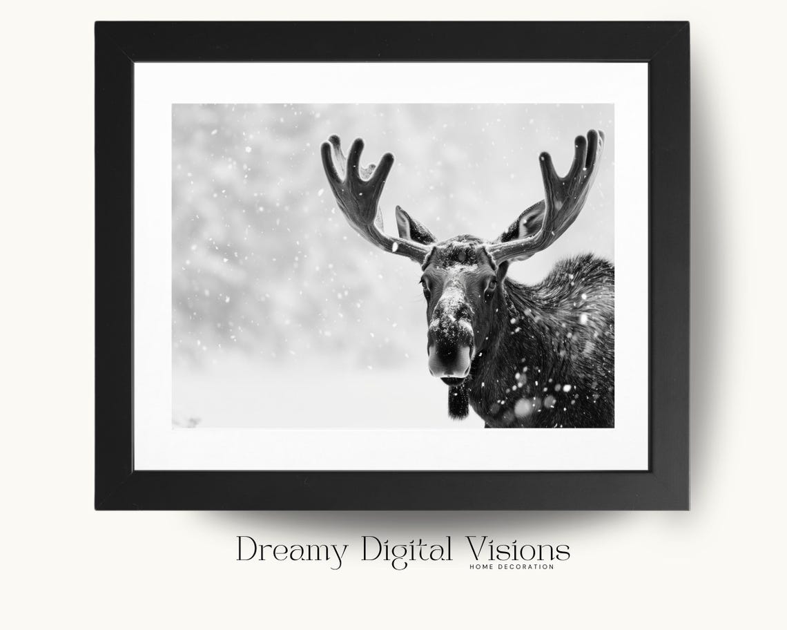 Moose in Falling Snow Black and White Winter Wildlife Photo Poster