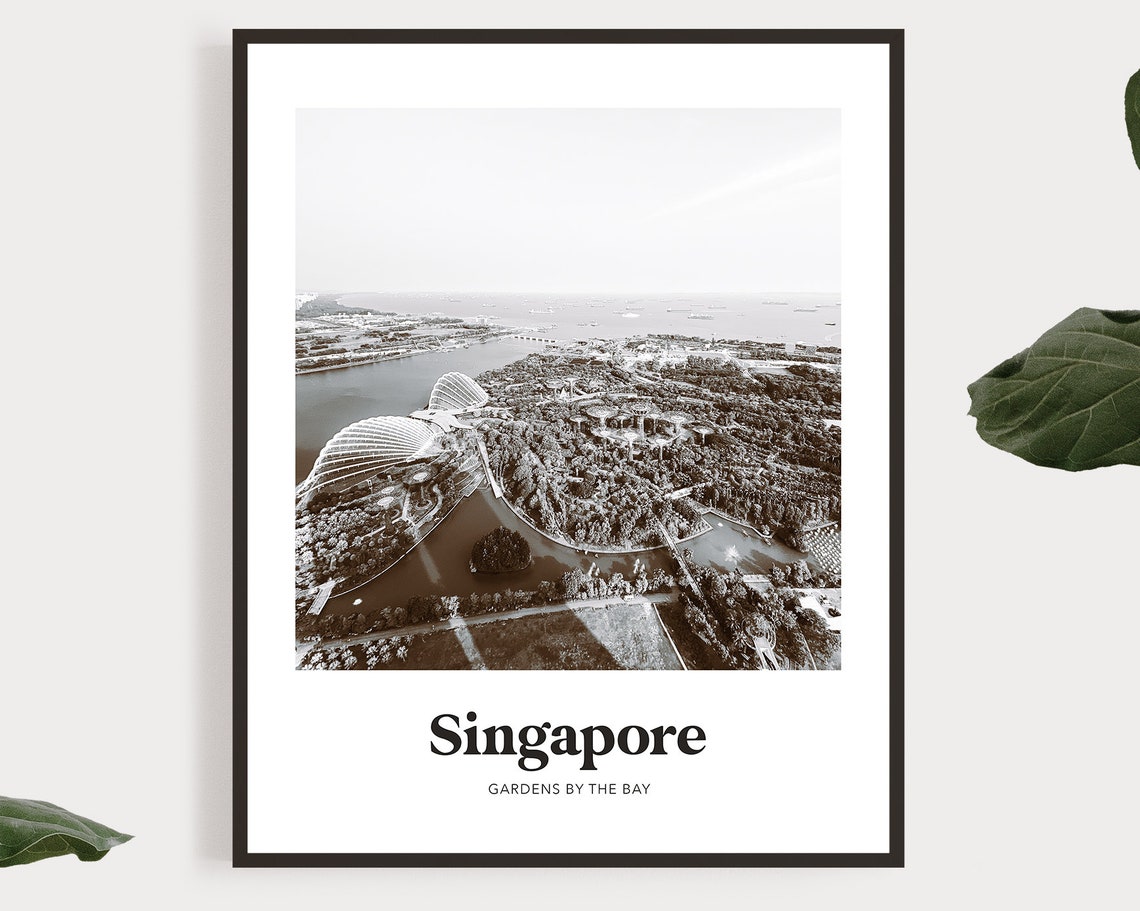 Singapore Gardens by the Bay Black and White Aerial Photo Poster