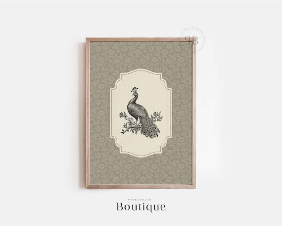 Peacock Illustration Vintage Style Bird Wall Art Elegant Black And White Print Living Room Decor No586
