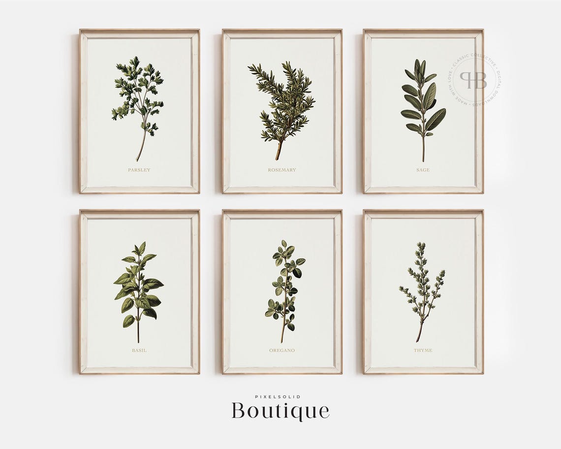 Set Of Six Herb Illustration Prints Classic Botanical Wall Art Rustic Vintagestyle Kitchen Decor Parsley Rosemary Sage Thyme No563