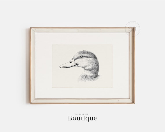 Duckling Illustration Print Black And White Animal Wall Art Farmhouse Kitchen Decor Duck Drawing Vintage Style No684