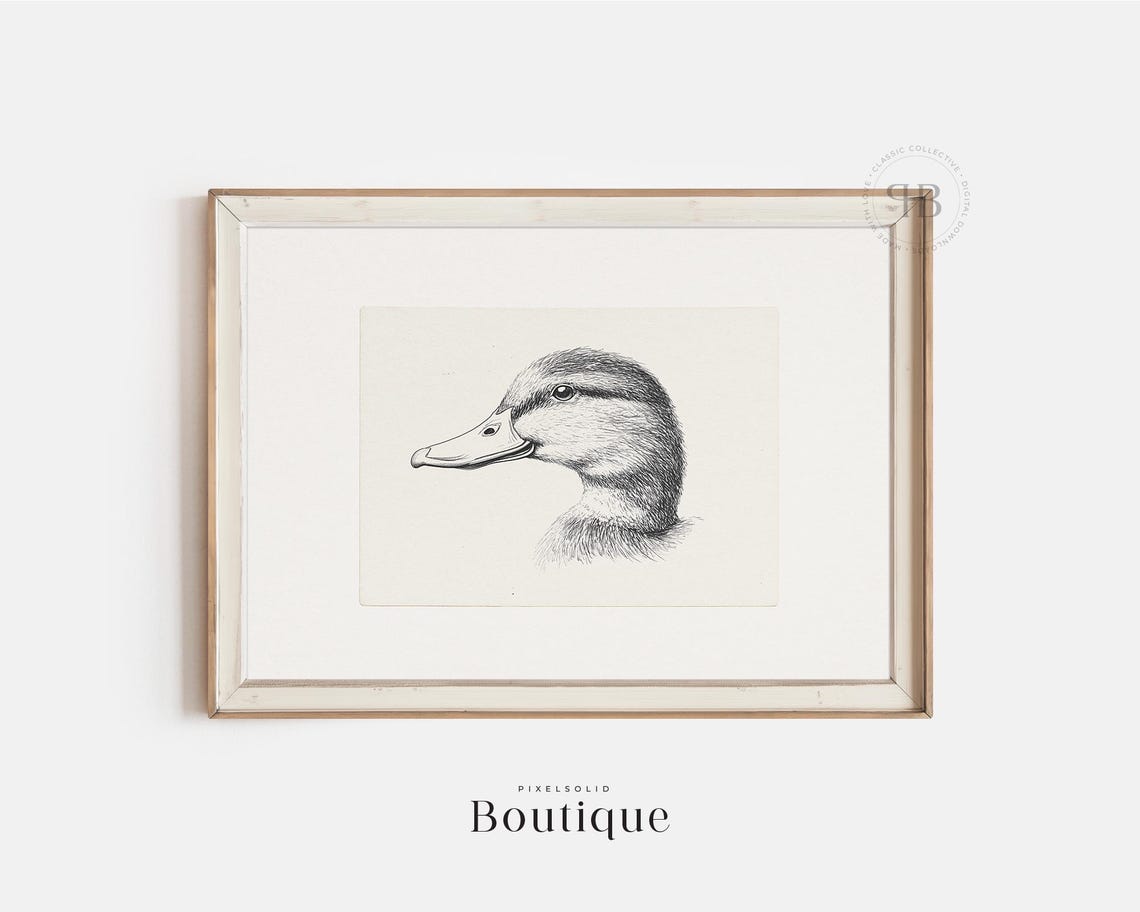 Black And White Duckling Head Pencil Sketch Vintage Style Poster