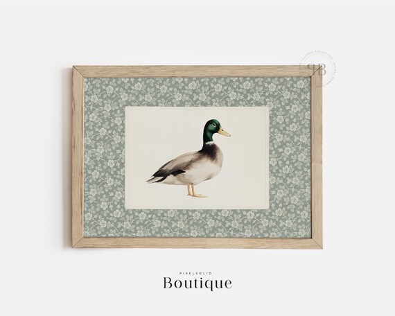 Mallard Duck Standing Vintage Bird Illustration Farmhouse Art Print