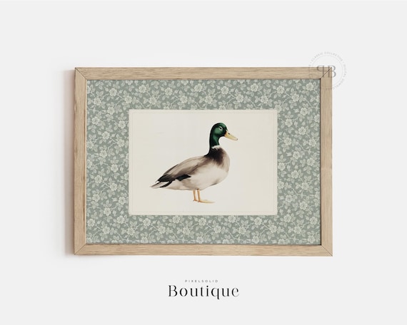 Mallard Duck Wall Art Farmhouse Bird Illustration Animal Decor For Kitchen Or Nursery Vintage Style Print No734