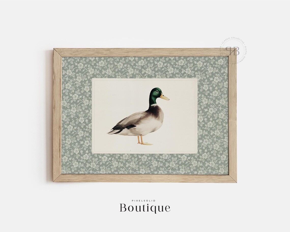 Mallard Duck Standing Vintage Bird Illustration Farmhouse Art Print