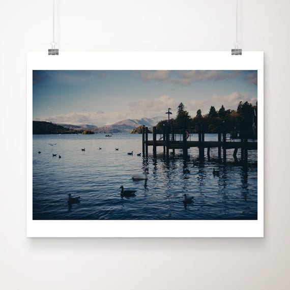 Lake Windermere Print District Swans Ducks