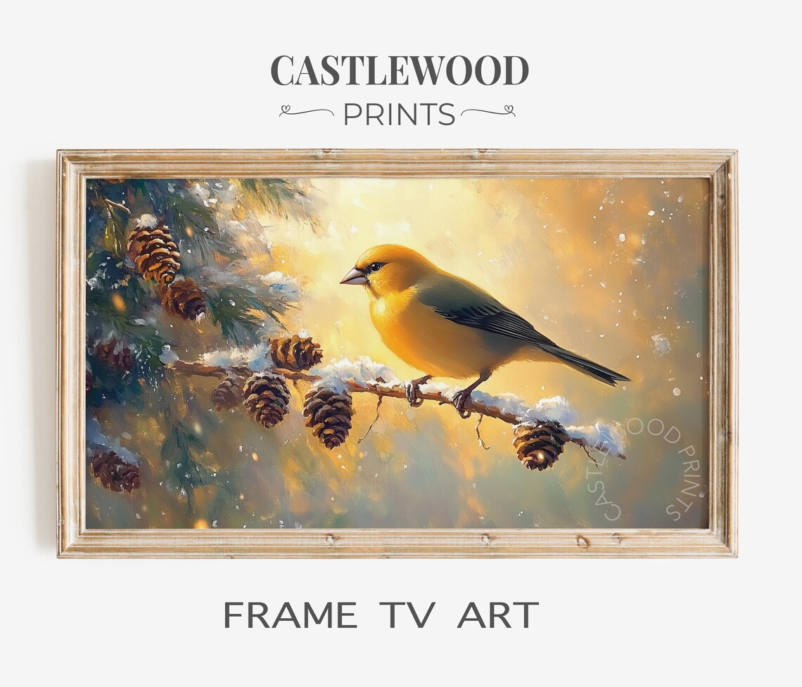 Golden Finch On Frosted Pinecone Branch Winter Bird Frame TV Poster