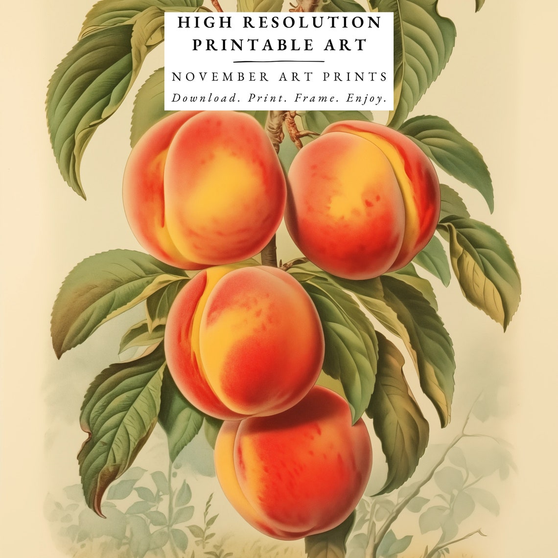 Vintage Peaches Lithograph, Retro Kitchen Art Print - Image 6