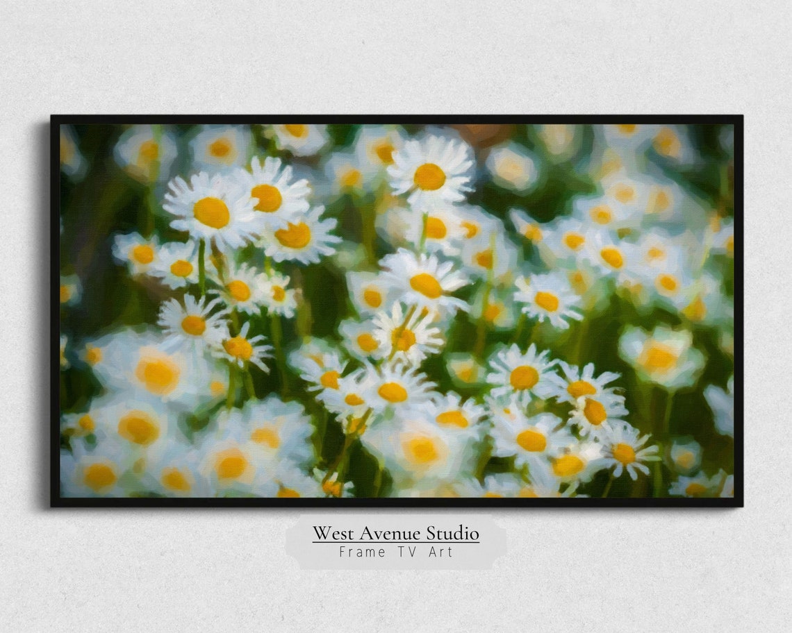 White Daisies Meadow Close Up Spring Flower Field Photography Poster - Image 5