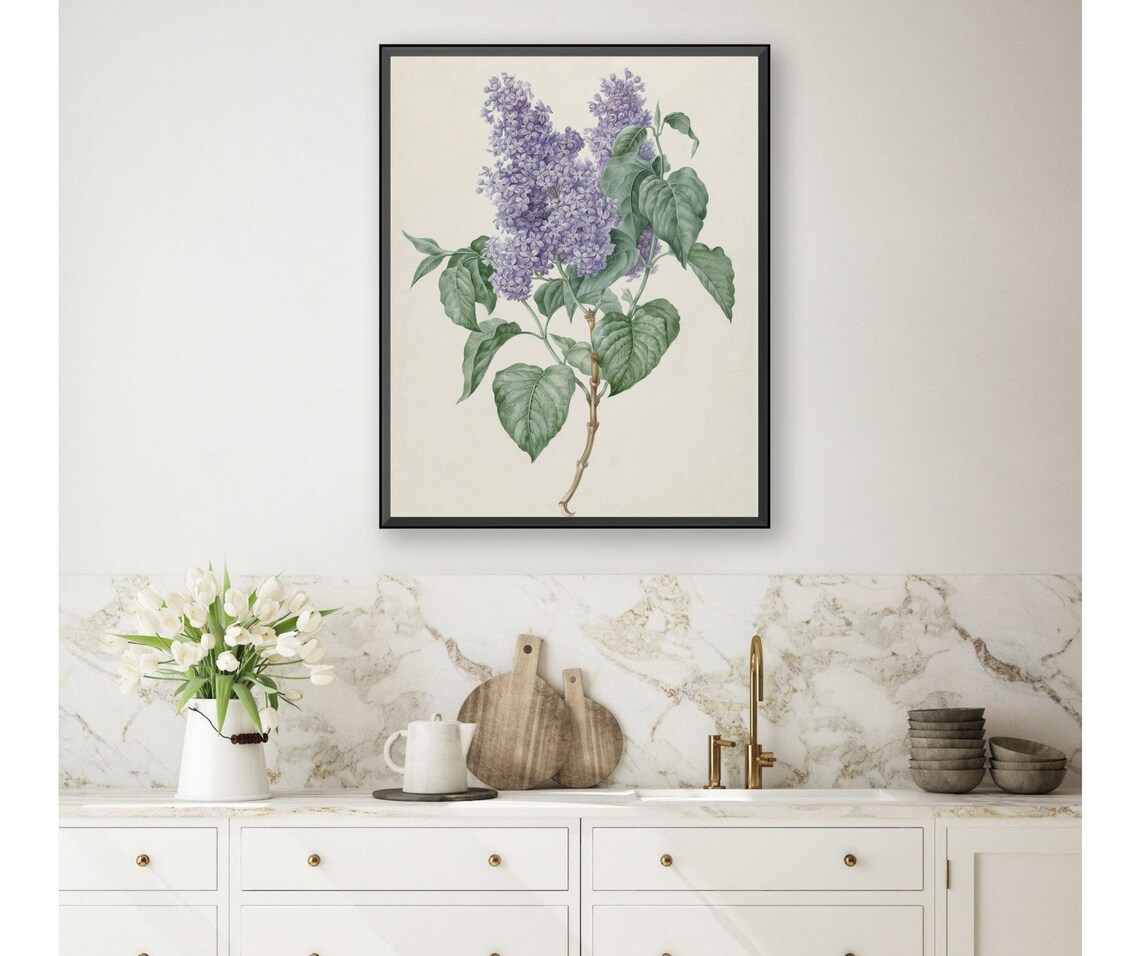 Lilacs Vintage Botanical Art Print, Purple Floral Still Life - Image 3