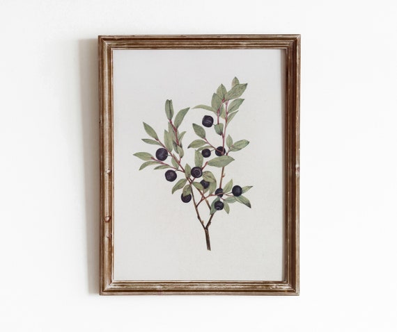 Huckleberry Sprig Vintage Botanical Watercolor Art Print
