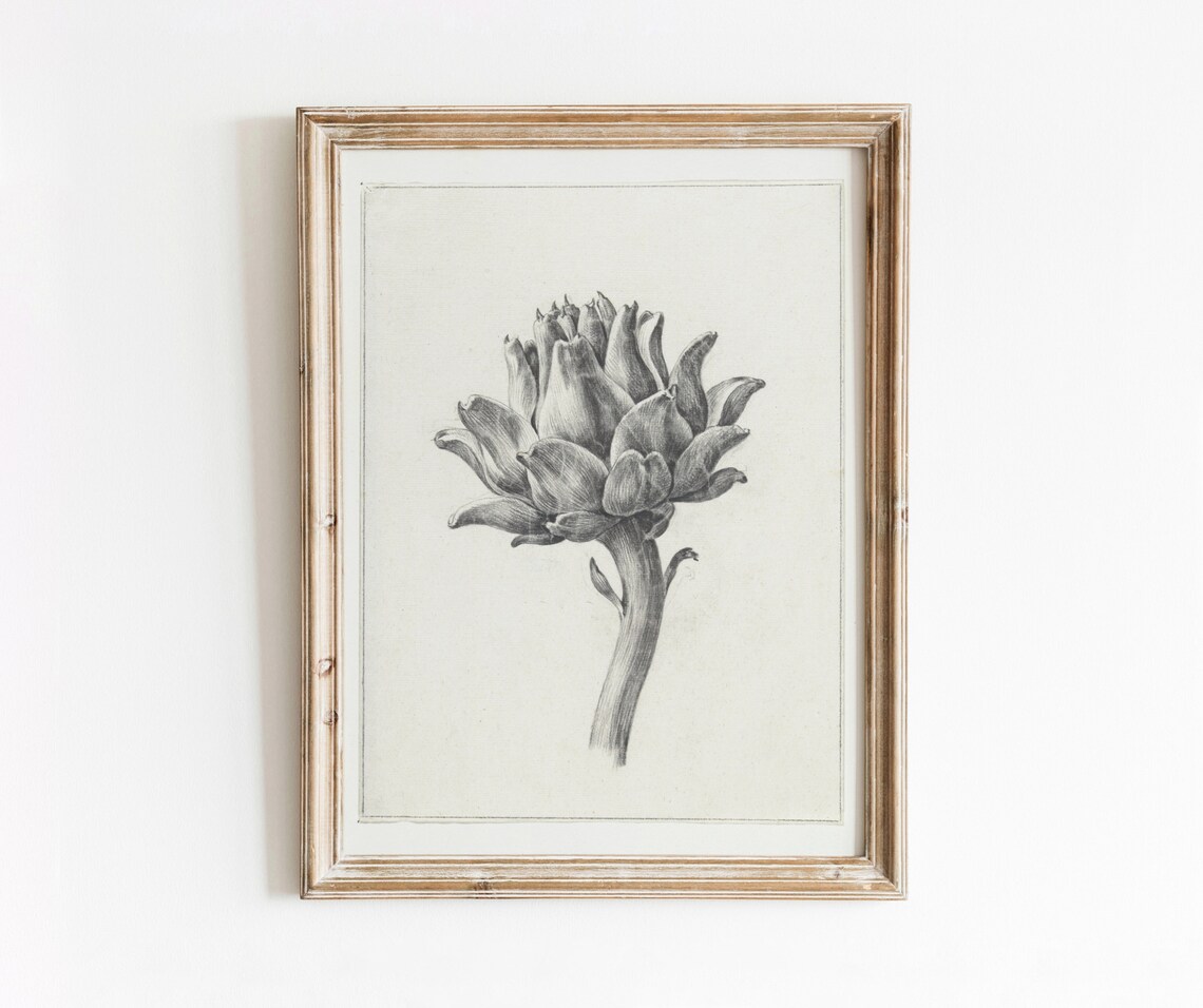 Artichoke Illustration Vintage Botanical Art Print