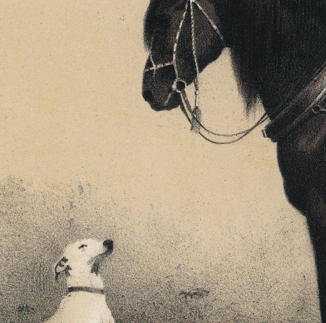 Horse Dog Illustration, Vintage Animal Art Print - Image 2