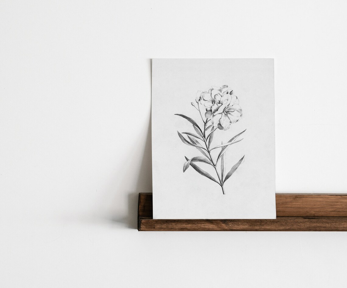 Floral Sketch Vintage Botanical Illustration Art Print - Image 2