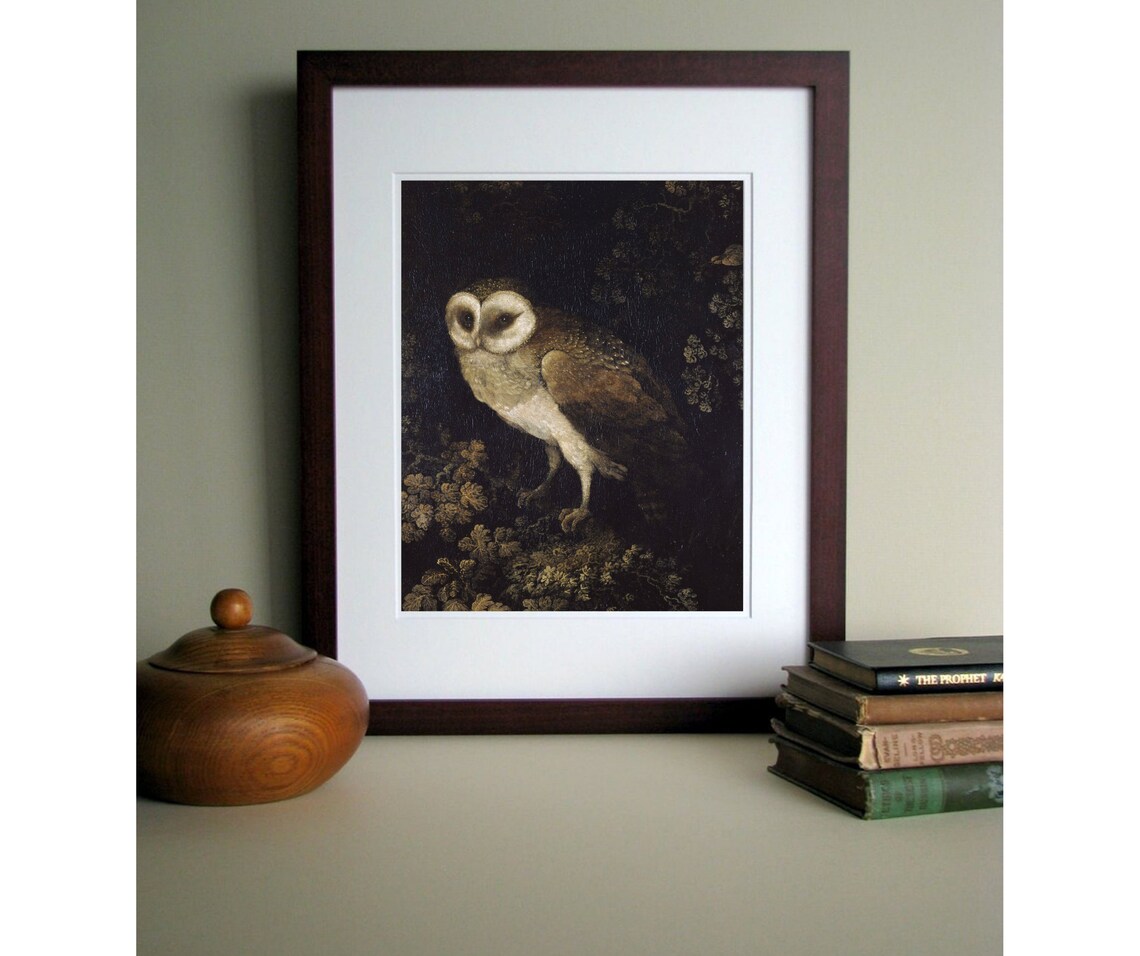 Night Owl Vintage Nocturnal Bird Art Print - Image 4