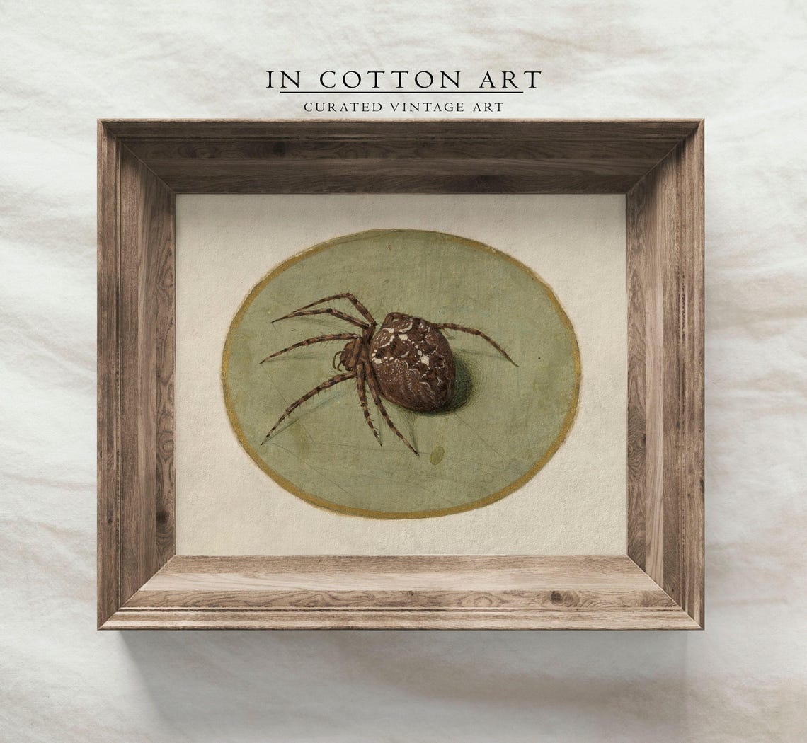 Antique Spider Illustration Orb Weaver Oval Vignette Art Print - Image 3
