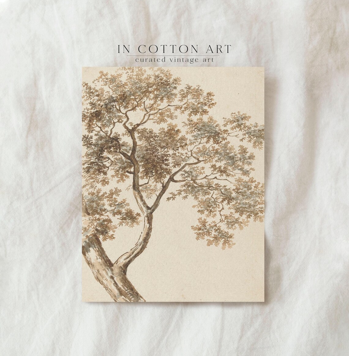 Vintage Rustic Tree Drawing Art Print