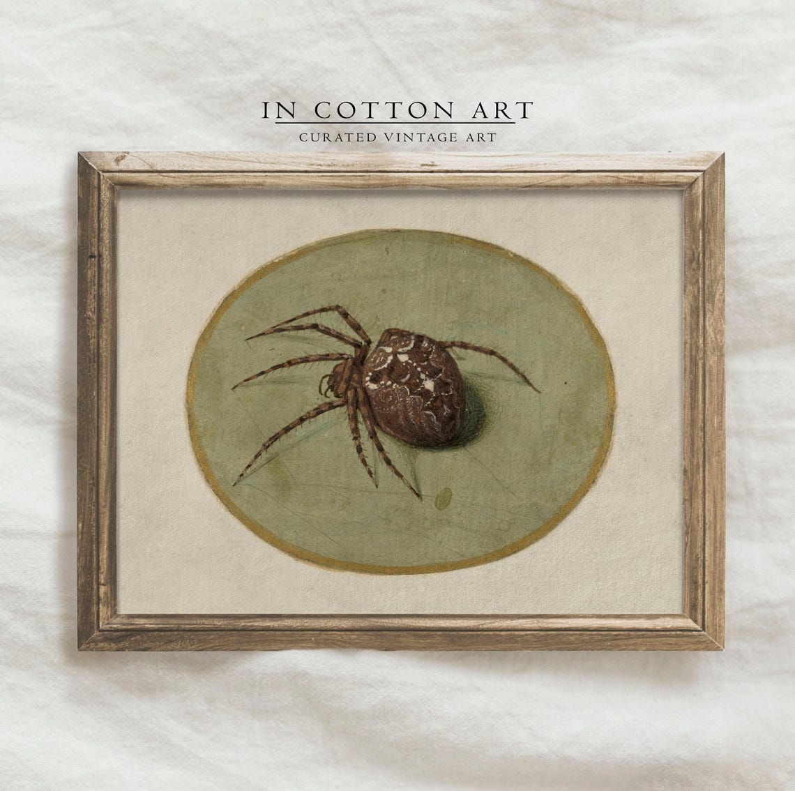Antique Spider Illustration Orb Weaver Oval Vignette Art Print - Image 4