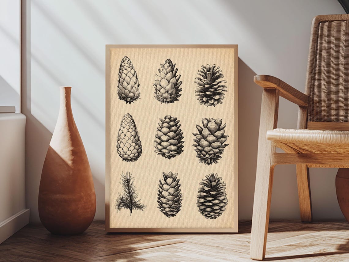 Nine Pinecones Botanical Ink Study Vintage Nature Illustration Poster - Image 4