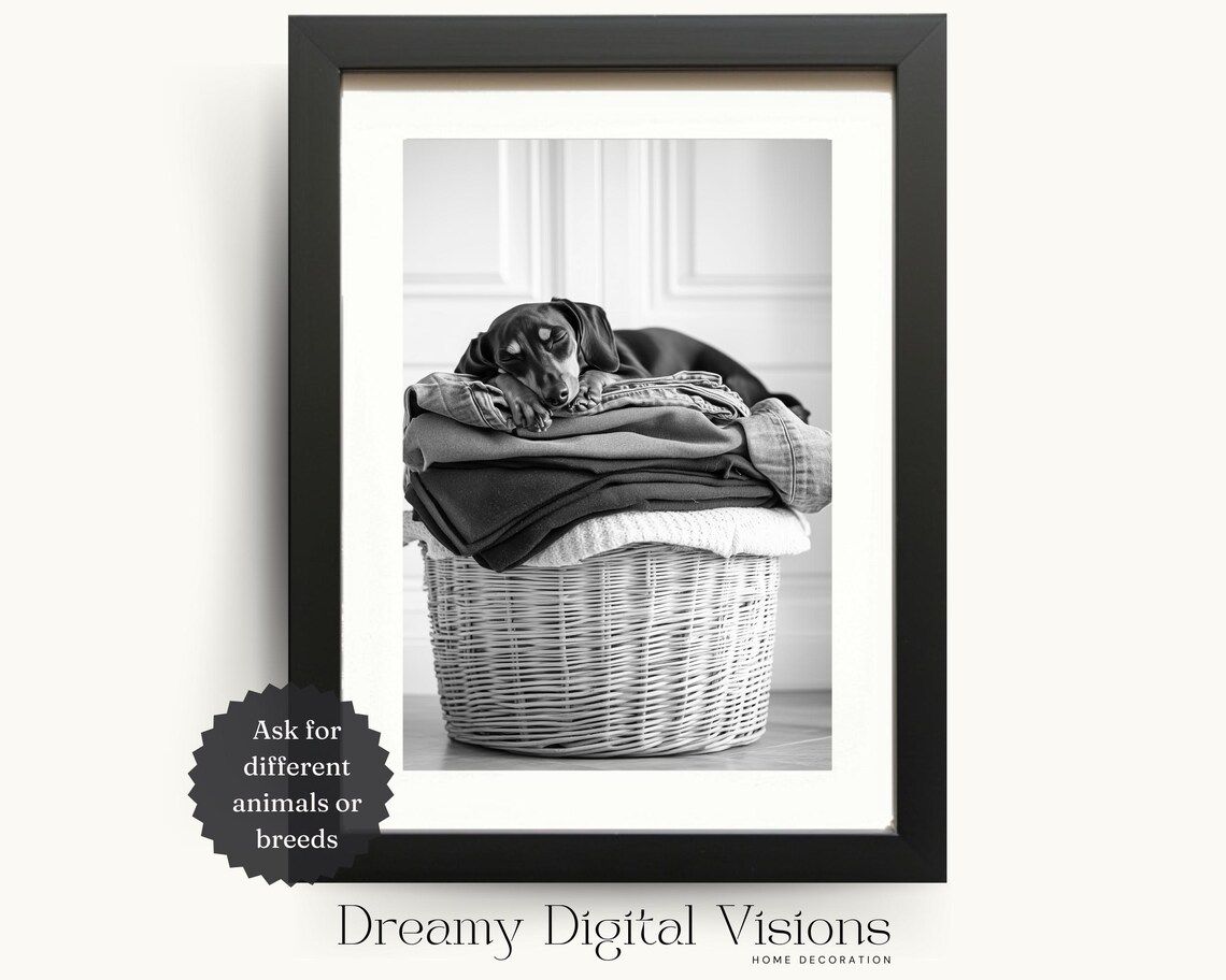 Adorable Dachshund Laundry Room Art Print