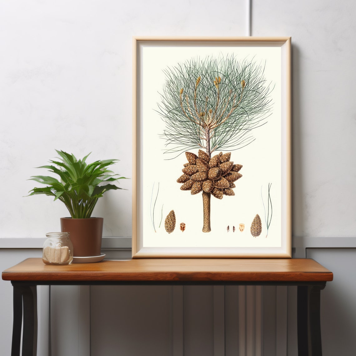 Vintage Calabrian Pine Cones Botanical Illustration Farmhouse Poster - Image 3