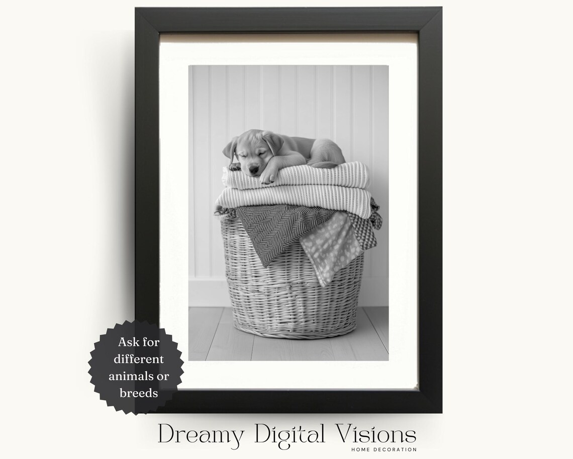 Golden Labrador Puppy Asleep On Laundry Basket, Print