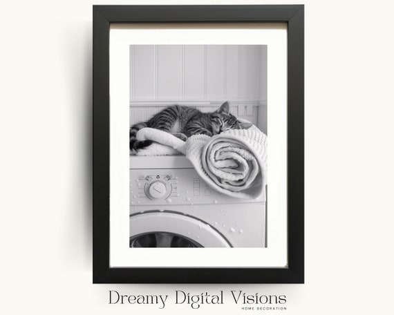 Cute Kitten Asleep on Washing Machine Art Print