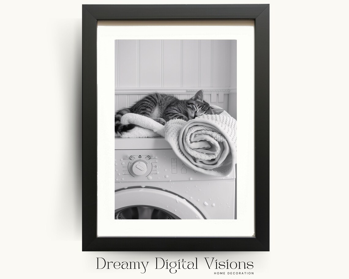 Cute Kitten Asleep on Washing Machine Art Print