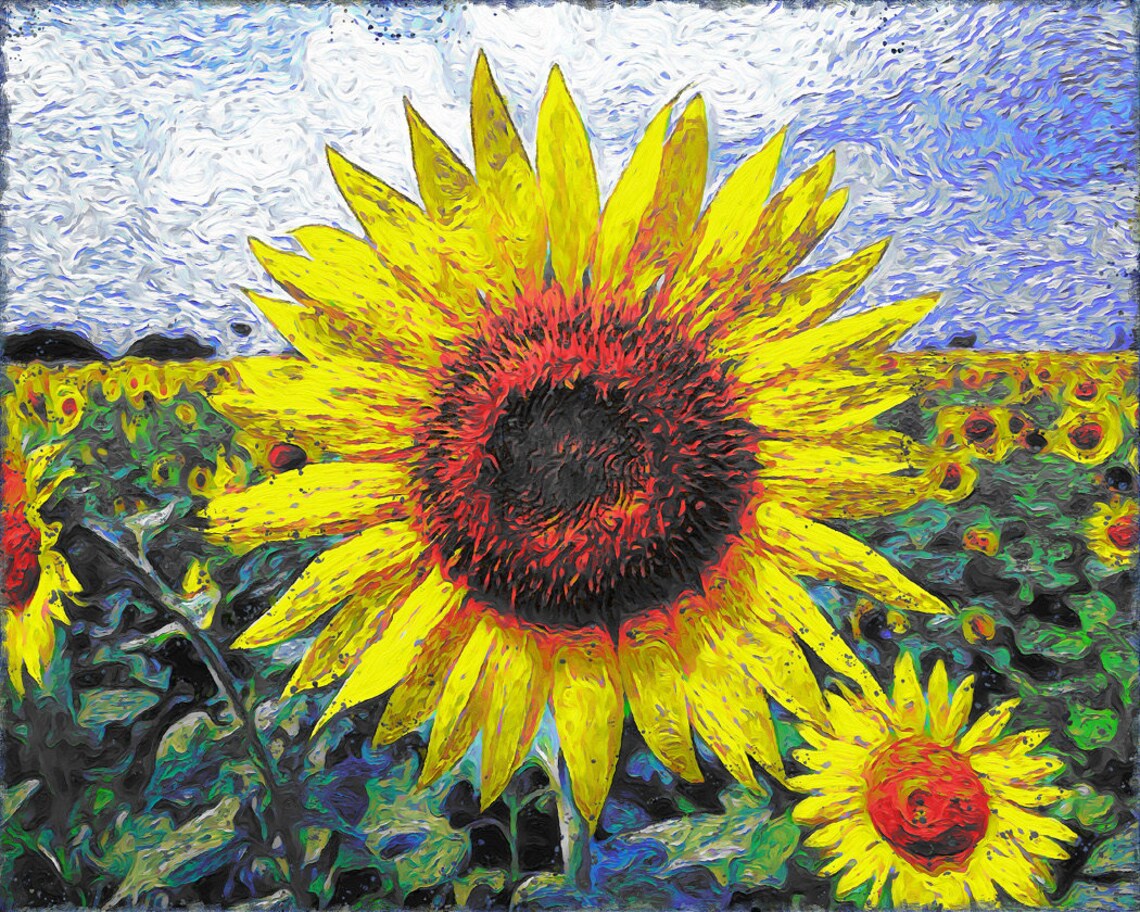 Sunflower Field Bloom Close Up Yellow Petals Impressionist Art Poster