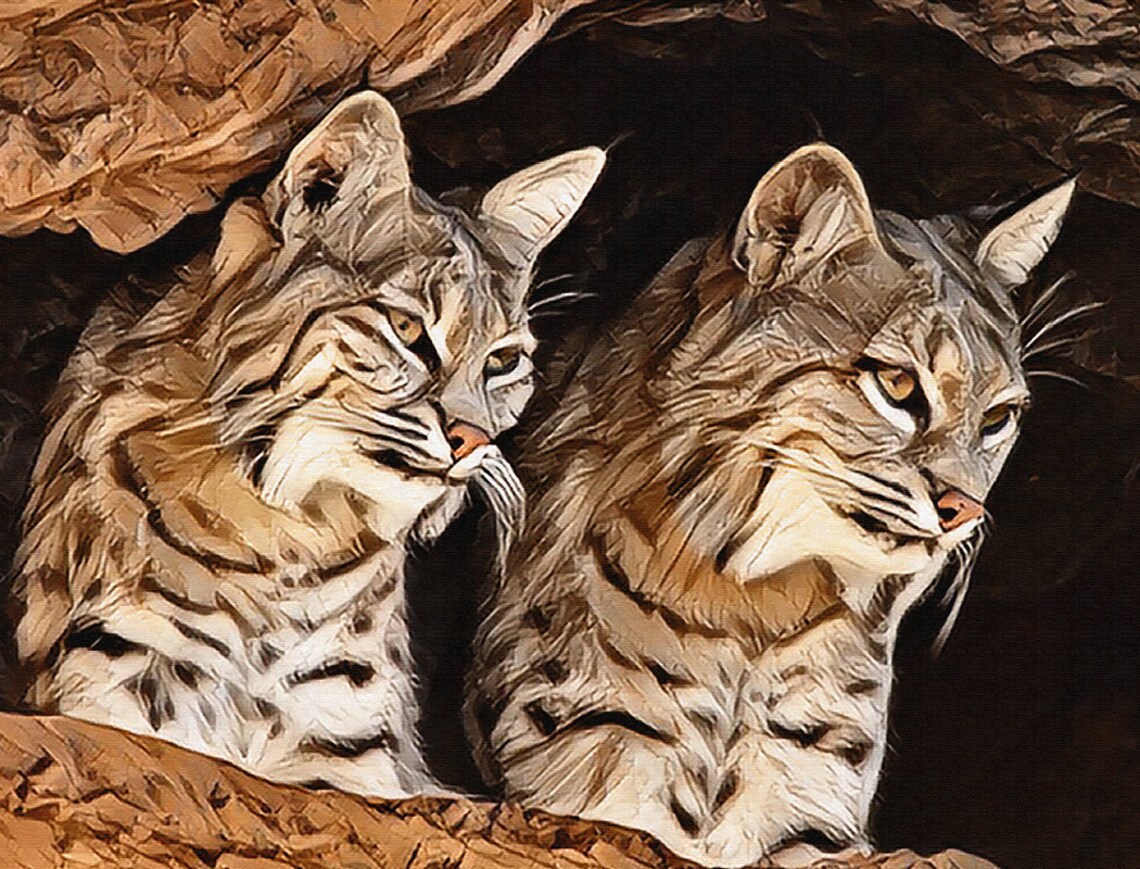Two Bobcats Peeking From Rocky Desert Cave Wildlife Nature Art Print - Image 3