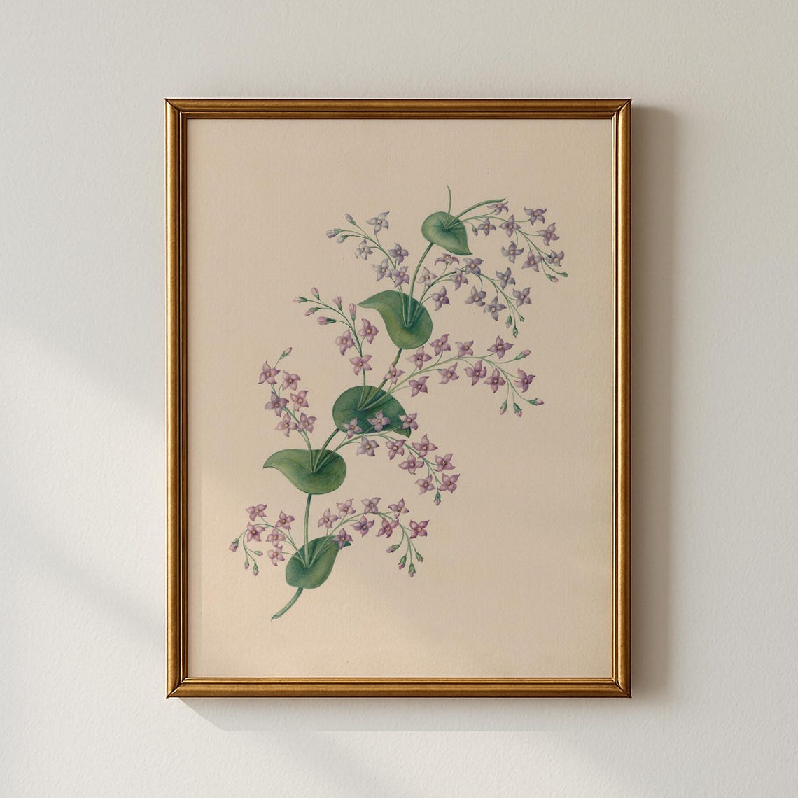 Cascading Purple Blossoms Antique Botanical Illustration Print