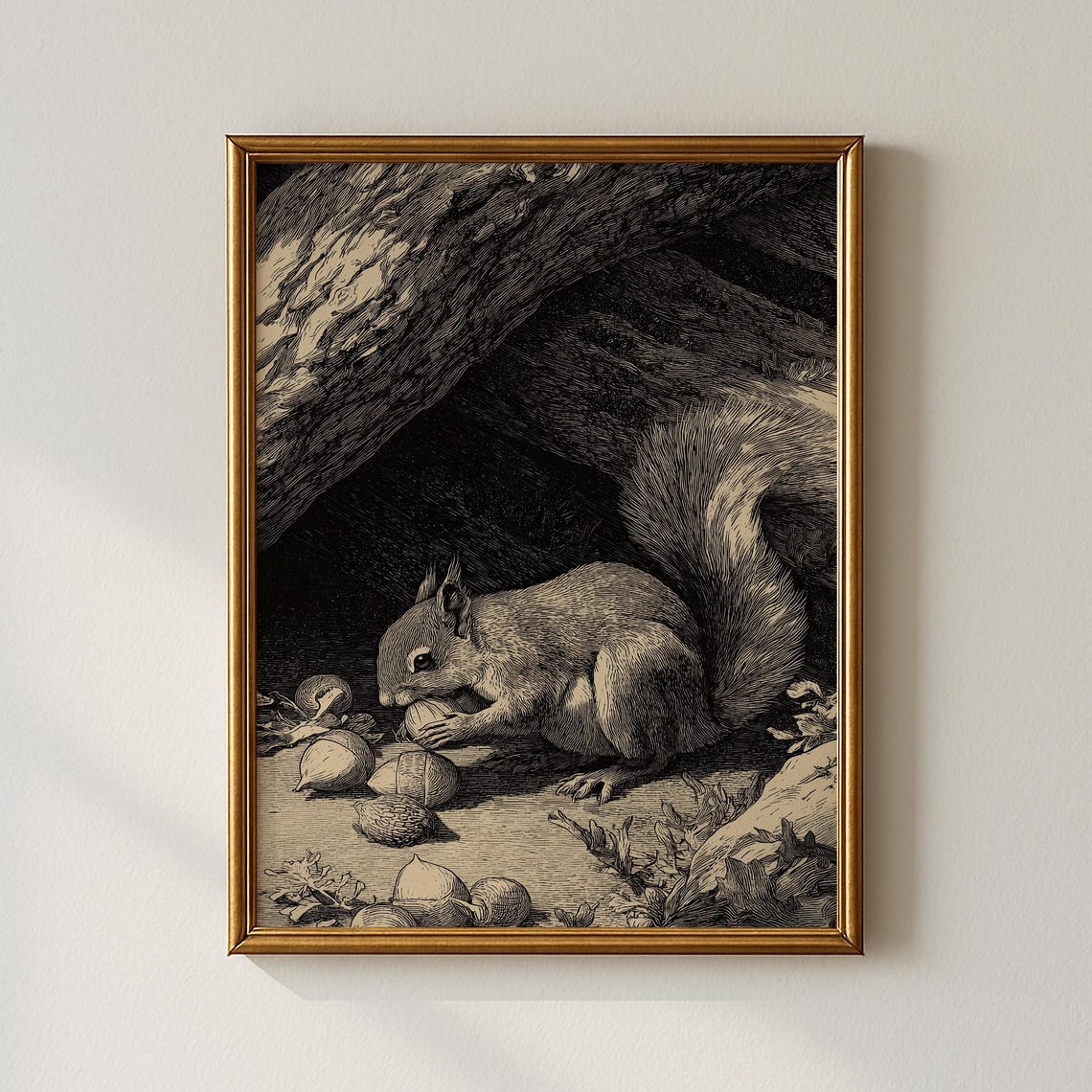 Vintage Squirrel Print Animal Wall Art Gallery Collected Prints Cpp439