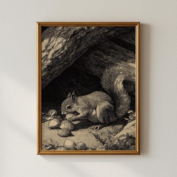 Vintage Squirrel Print Animal Wall Art Gallery Collected Prints Cpp439