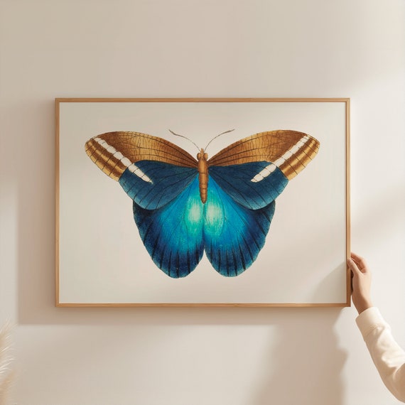 Great Occidental Butterfly Wall Art Butterfly Decor Butterfly Print Butterfly Poster Butterfly Watercolor Art Print Wbbut Blue