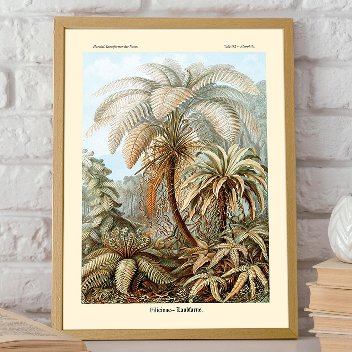Fern Illustration By Ernst Haeckel, Nature Study - Image 2