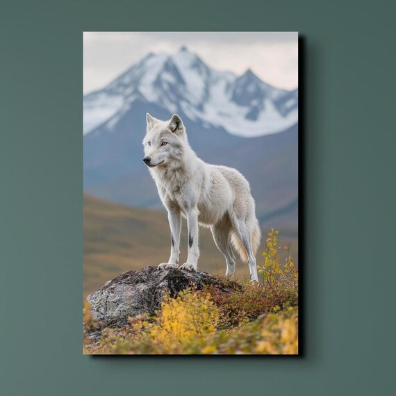 White Wolf Photography, Nature Office Art Print