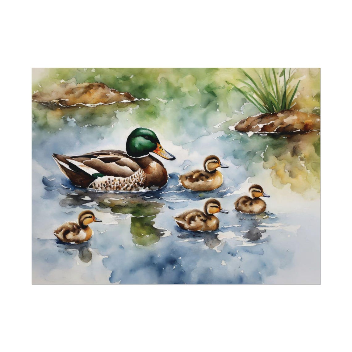 Mallard Duck Ducklings Pond Watercolor Family Wildlife Wall Art