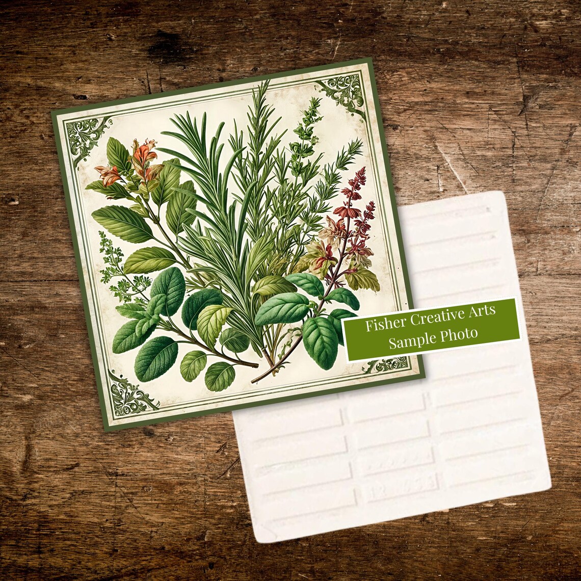 Antique Botanical Herbs, Vintage Kitchen Art Print - Image 3