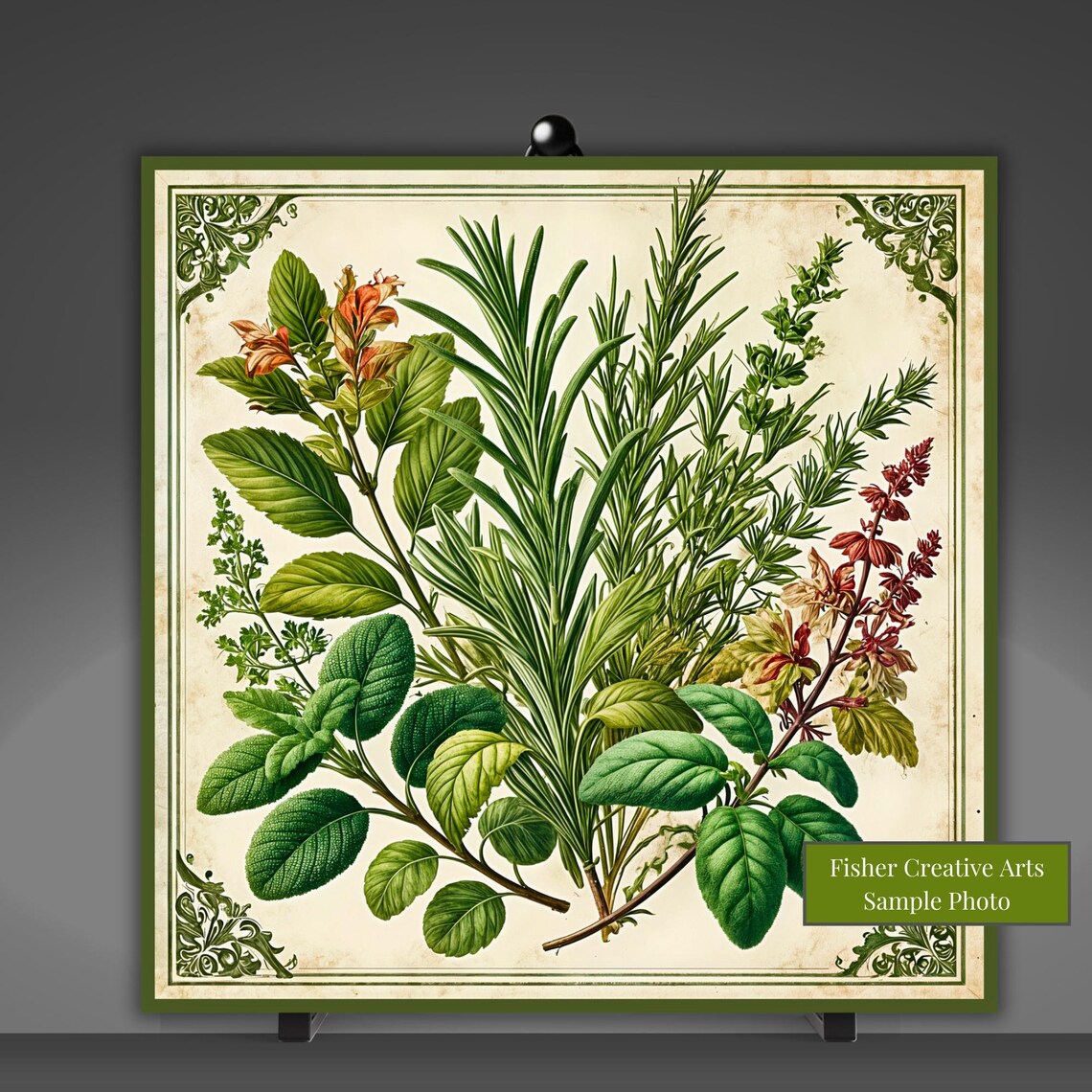 Antique Botanical Herbs, Vintage Kitchen Art Print - Image 5