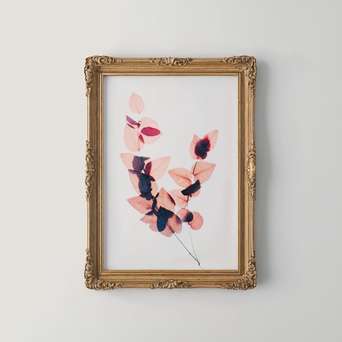 Backlit Coral Translucent Leaves Minimalist Modern Botanical Poster