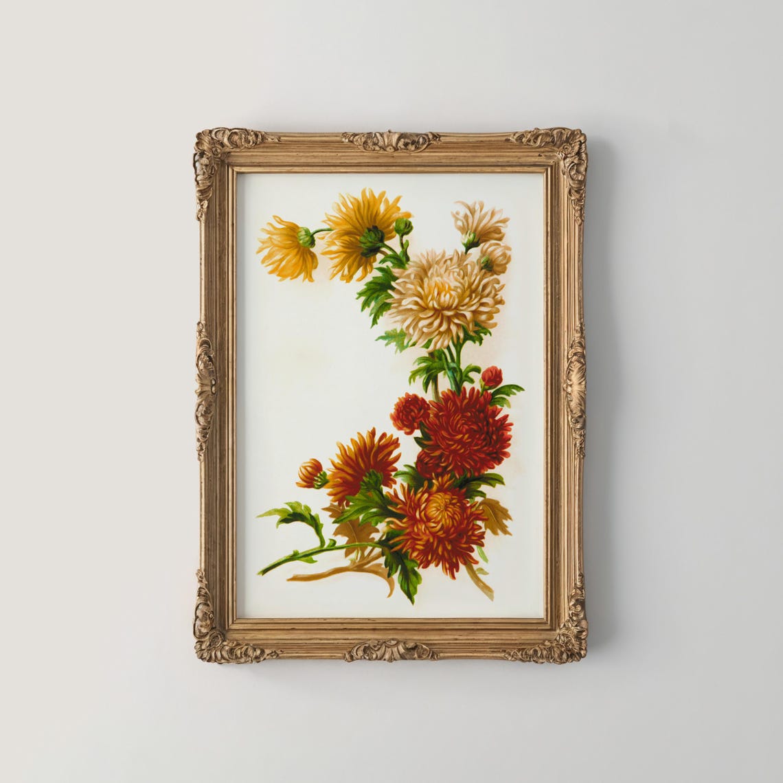 Golden and Crimson Chrysanthemum Stems Vintage Botanical Poster