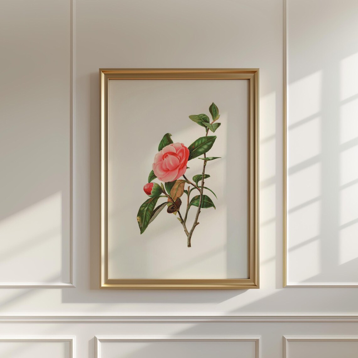 Pink Camellia Flower Branch in Fine Botanical Illustration Art Poster - Image 5