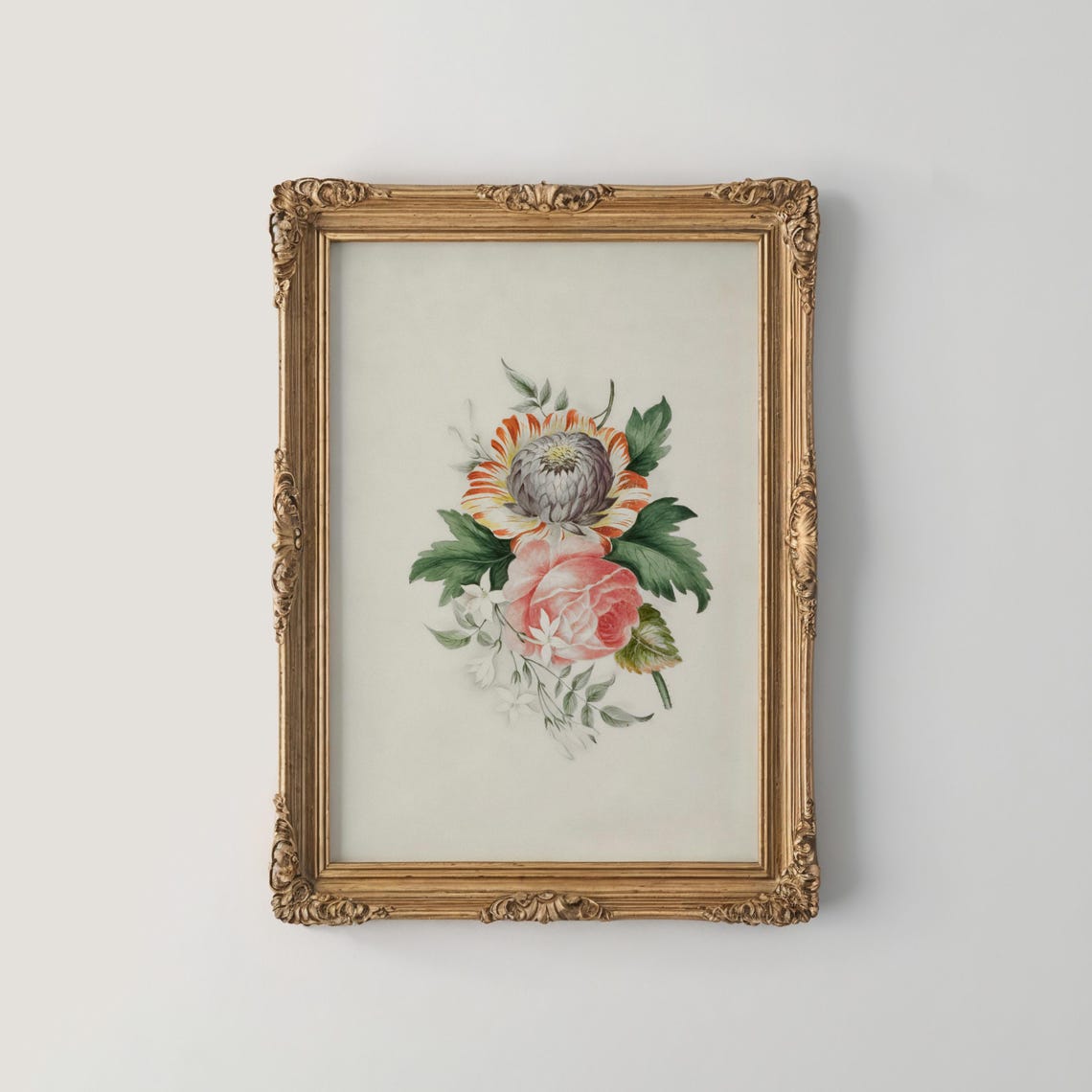 Striped Orange Flower And Pink Roses Vintage Botanical Print
