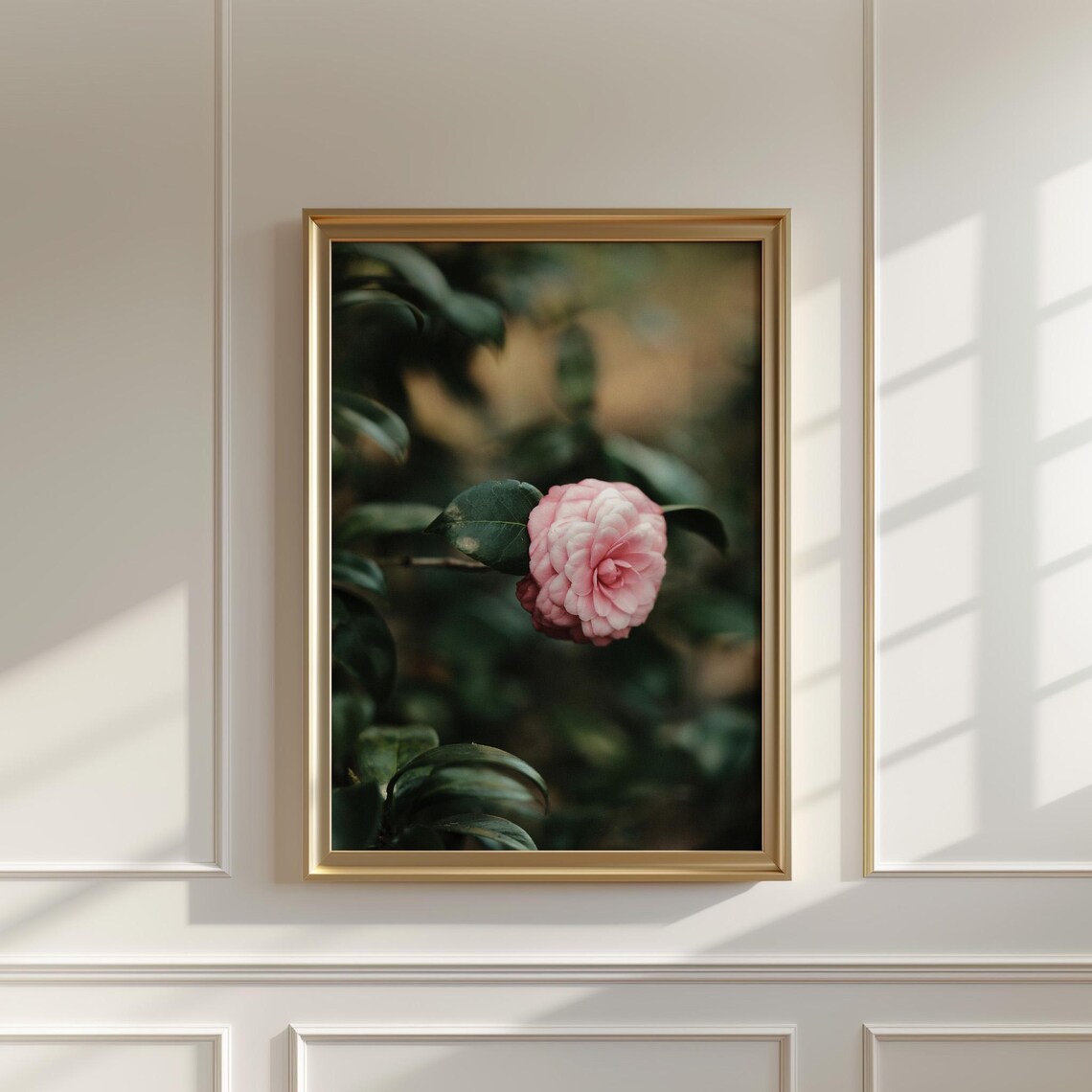 Pink Camellia Bloom On Dark Green Foliage Moody Photograph Print - Image 5