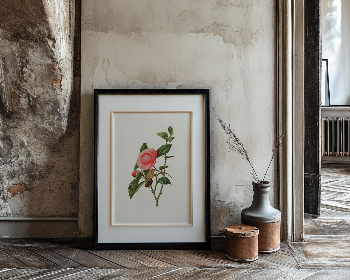 Pink Camellia Flower Branch in Fine Botanical Illustration Art Poster - Image 3